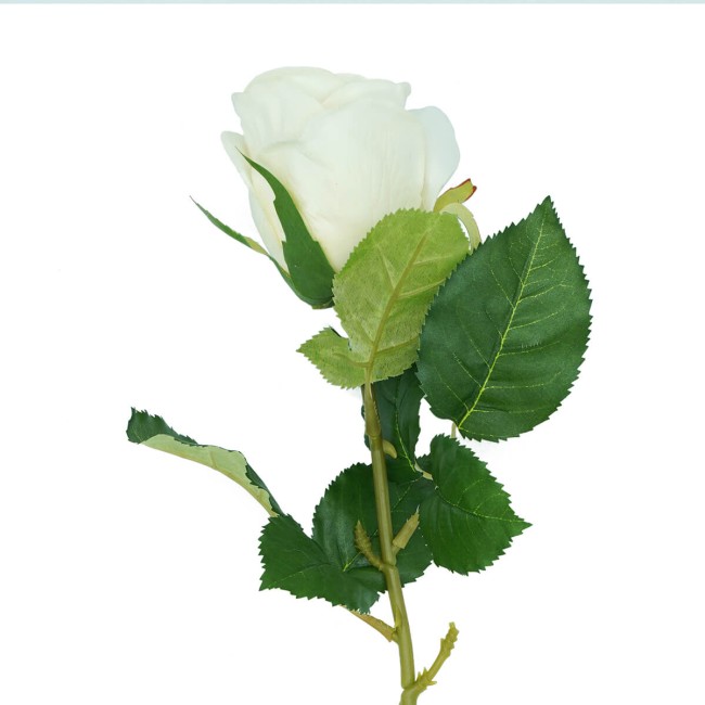 Rosa con Stelo e Foglie