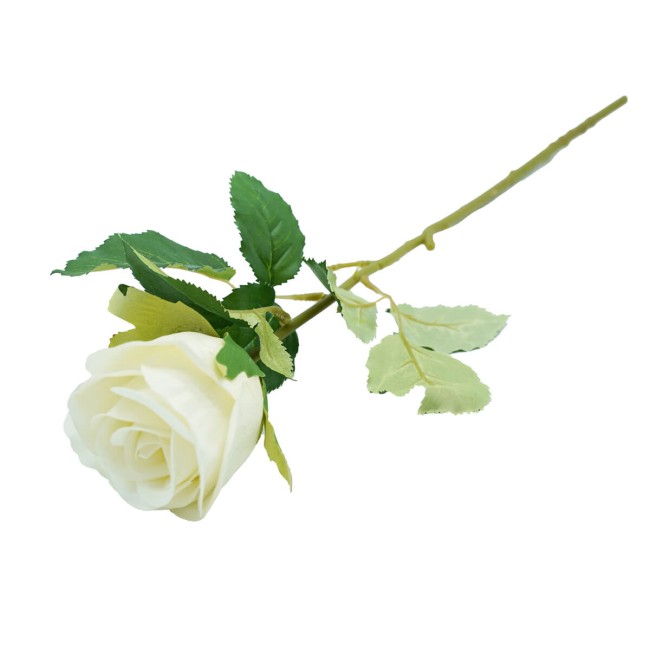 Rosa con Stelo e Foglie