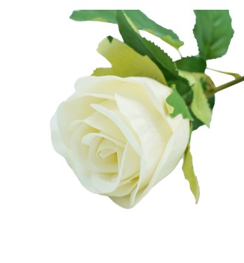 Rosa con Stelo e Foglie