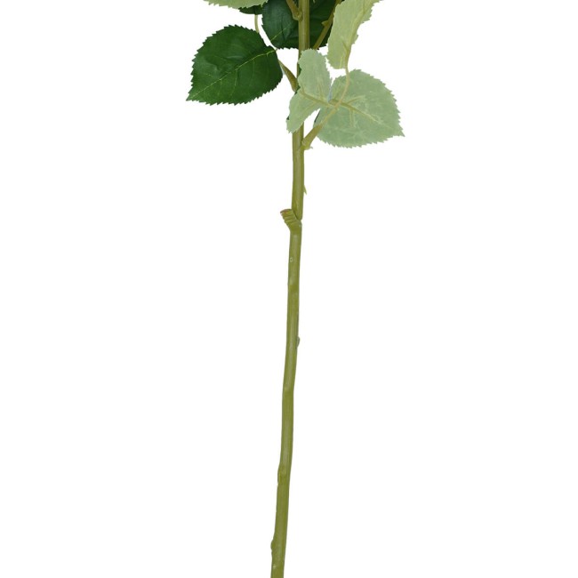 Rosa con Stelo 72 cm