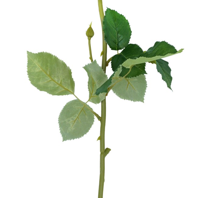 Rosa con Stelo 72 cm