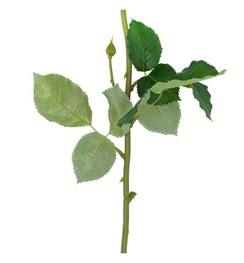 Rosa con Stelo 72 cm