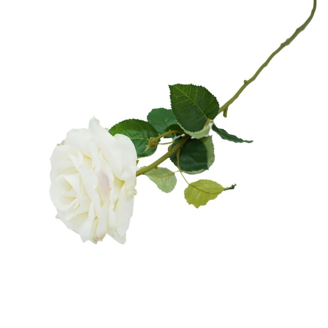 Rosa con Stelo 72 cm