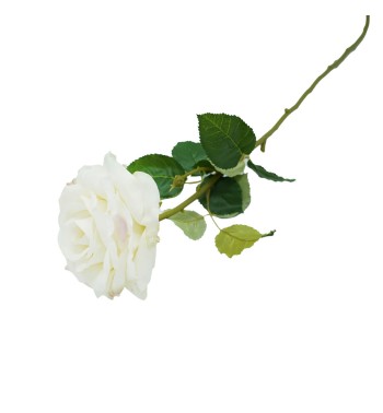 Rosa con Stelo 72 cm