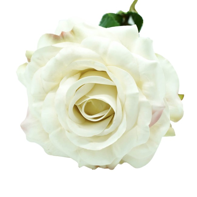 Rosa con Stelo 72 cm