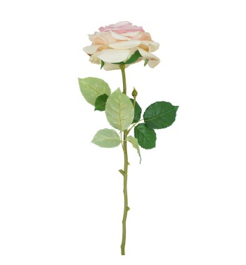 Rosa con Stelo 72 cm