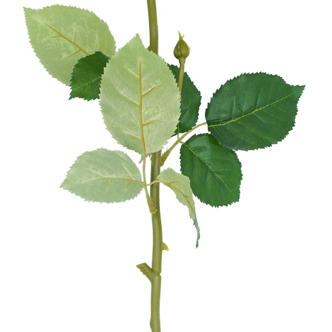 Rosa con Stelo 72 cm