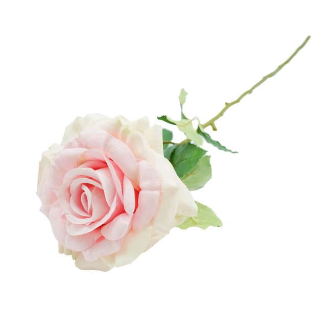 Rosa con Stelo 72 cm