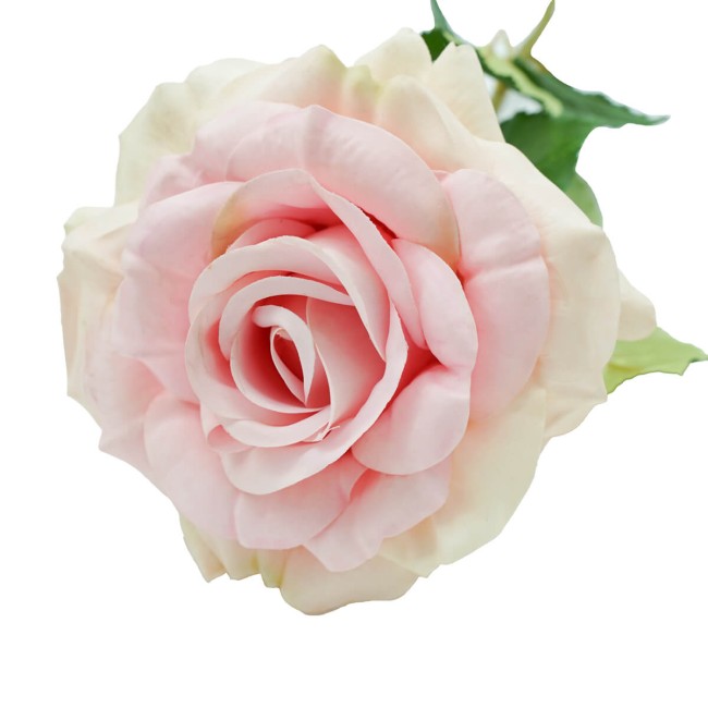 Rosa con Stelo 72 cm