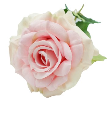 Rosa con Stelo 72 cm