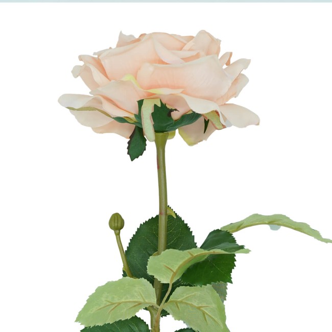 Rosa con Stelo e Foglie Artificiale H.70 cm