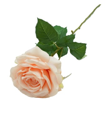 Rosa con Stelo e Foglie Artificiale H.70 cm Rosa con Stelo e Foglie Artificiale H.70 cm