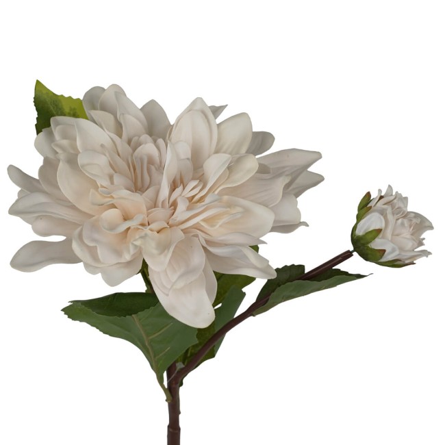 Dalia con Stelo e Foglie H.55 cm