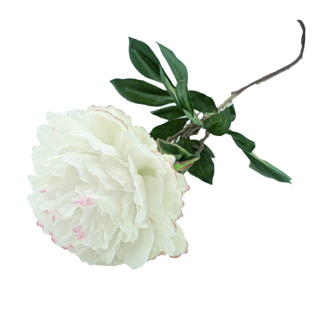 Peonia con Stelo H.90 cm