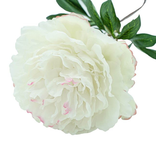 Peonia con Stelo H.90 cm