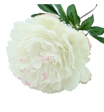 Peonia con Stelo H.90 cm