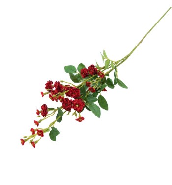 Rametto con Rose Selvatiche Disponibile in 3 Colori