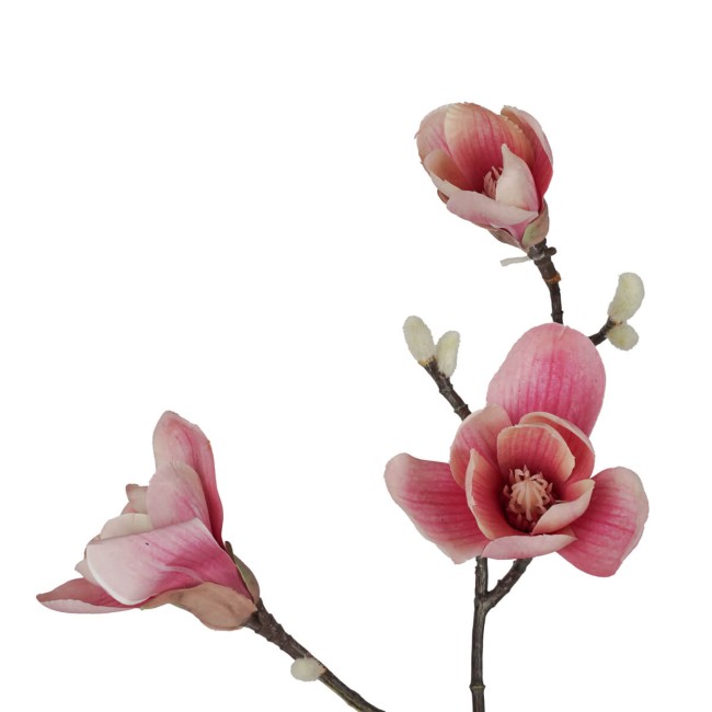 Ramo di Magnolie D.15xH.95 cm