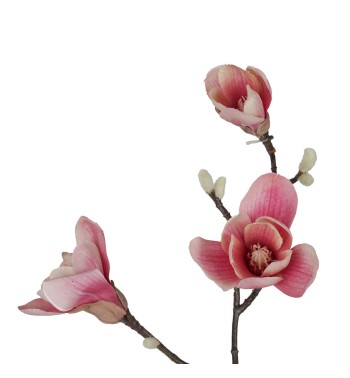 Ramo di Magnolie D.15xH.95 cm