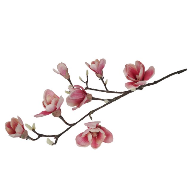 Ramo di Magnolie D.15xH.95 cm