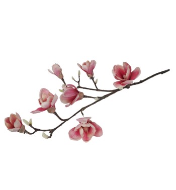 Ramo di Magnolie D.15xH.95 cm