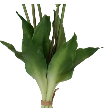 Fascio di 5 Tulipani H.39 cm