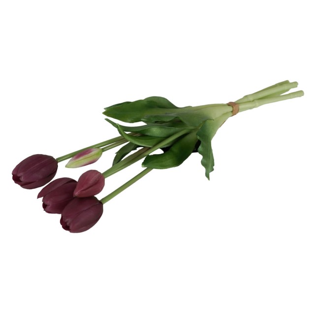 Fascio di 5 Tulipani H.39 cm