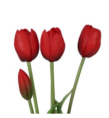 Fascio di 5 Tulipani H.39 cm