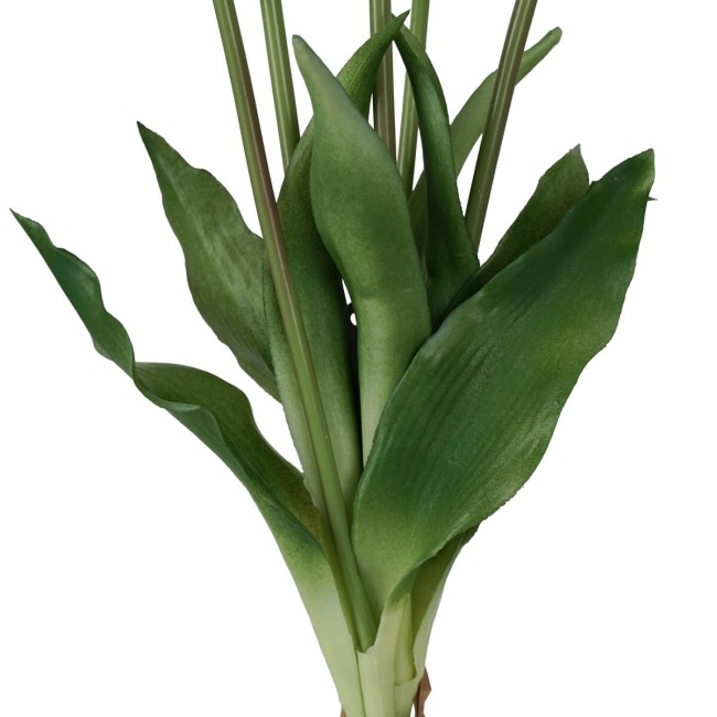 Fascio di 5 Tulipani H.39 cm