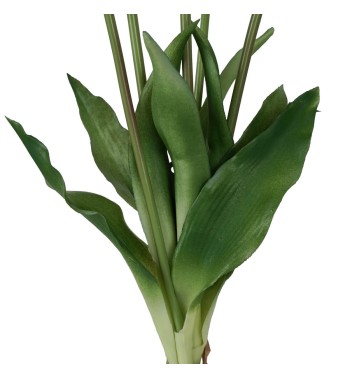 Fascio di 5 Tulipani H.39 cm