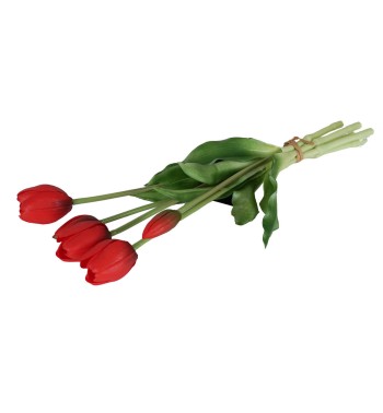 Fascio di 5 Tulipani H.39 cm