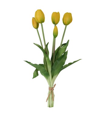 Fascio di 5 Tulipani H.39 cm
