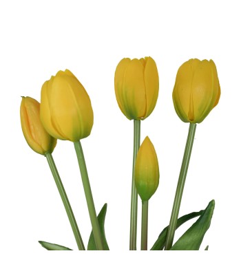 Fascio di 5 Tulipani H.39 cm