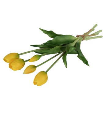 Fascio di 5 Tulipani H.39 cm