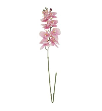 Orchidea con 9 Fiori H.98 cm