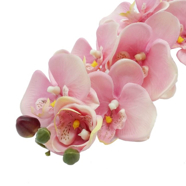 Orchidea con 9 Fiori H.98 cm