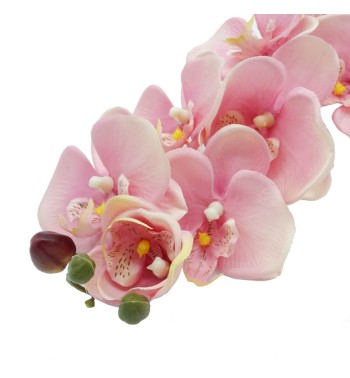 Orchidea con 9 Fiori H.98 cm
