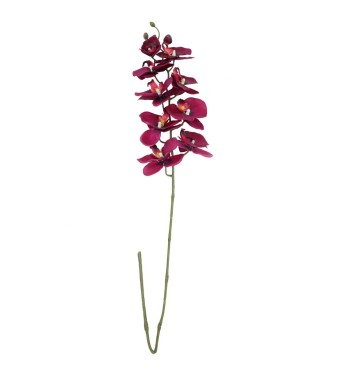 Orchidea con 9 Fiori H.98 cm
