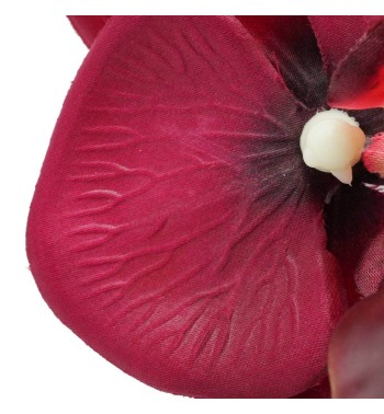 Orchidea con 9 Fiori H.98 cm