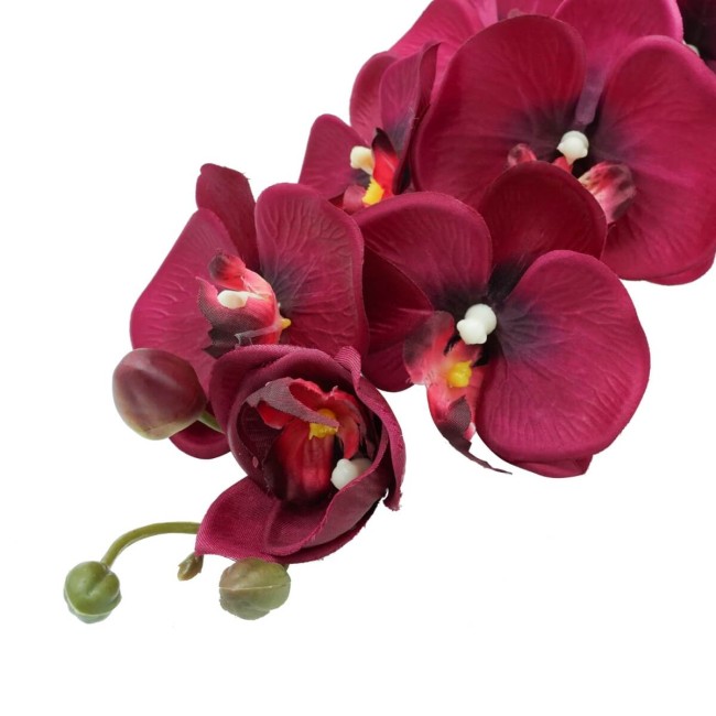 Orchidea con 9 Fiori H.98 cm
