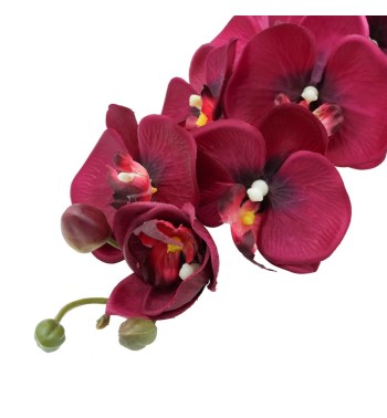Orchidea con 9 Fiori H.98 cm