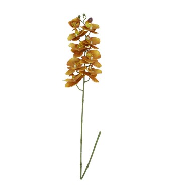 Orchidea con 9 Fiori H.98 cm