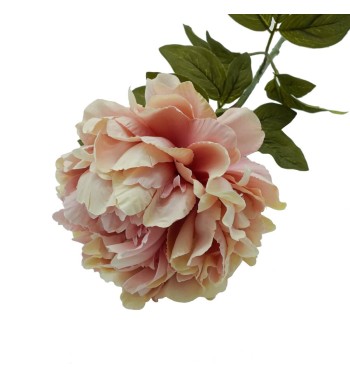 Peonia Artificiale H.72 cm