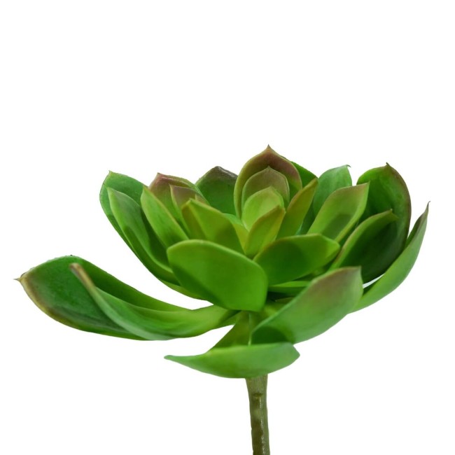 Fiore di Pianta Grassa Verde H.18 cm