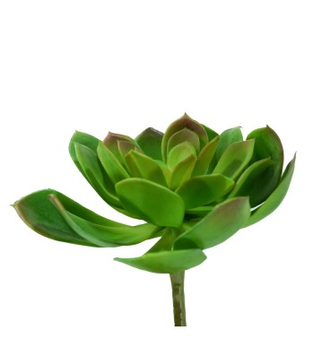 Fiore di Pianta Grassa Verde H.18 cm
