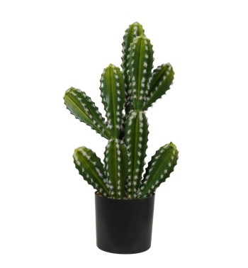 Cactus Artificiale Realistico 2 Misure Cactus Artificiale Realistico 2 Misure