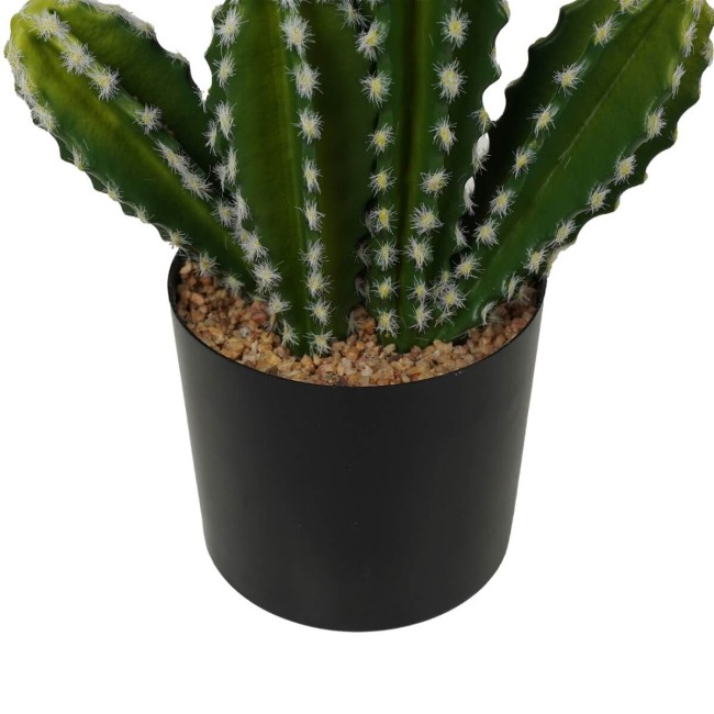 Cactus Artificiale Realistico 2 Misure