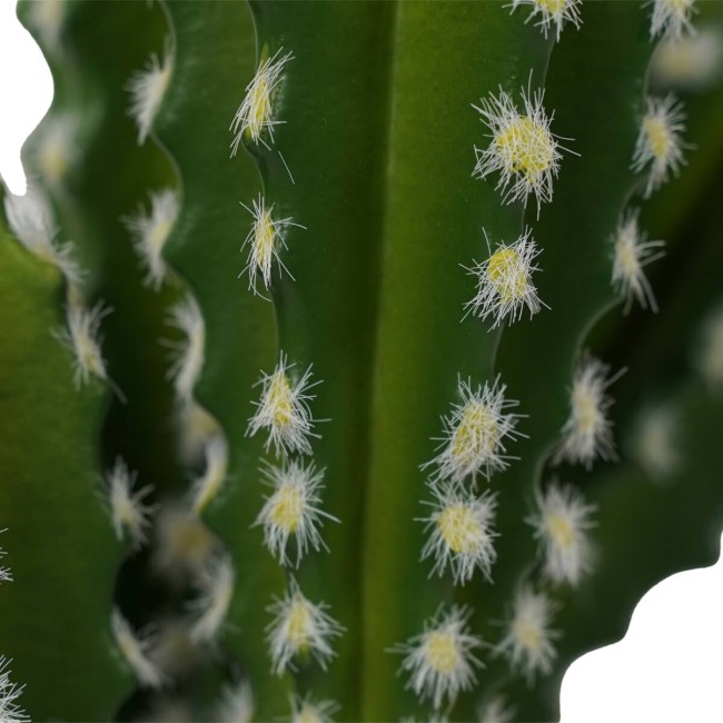 Cactus Artificiale Realistico 2 Misure