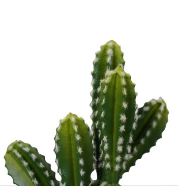 Cactus Artificiale Realistico 2 Misure Cactus Artificiale Realistico 2 Misure