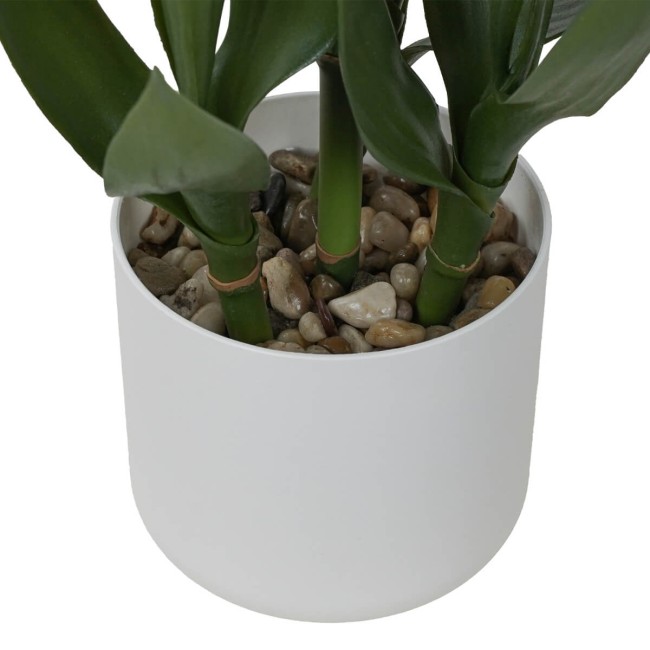 Pianta Dracaena Artificiale in Vaso Bianco 2 Misure